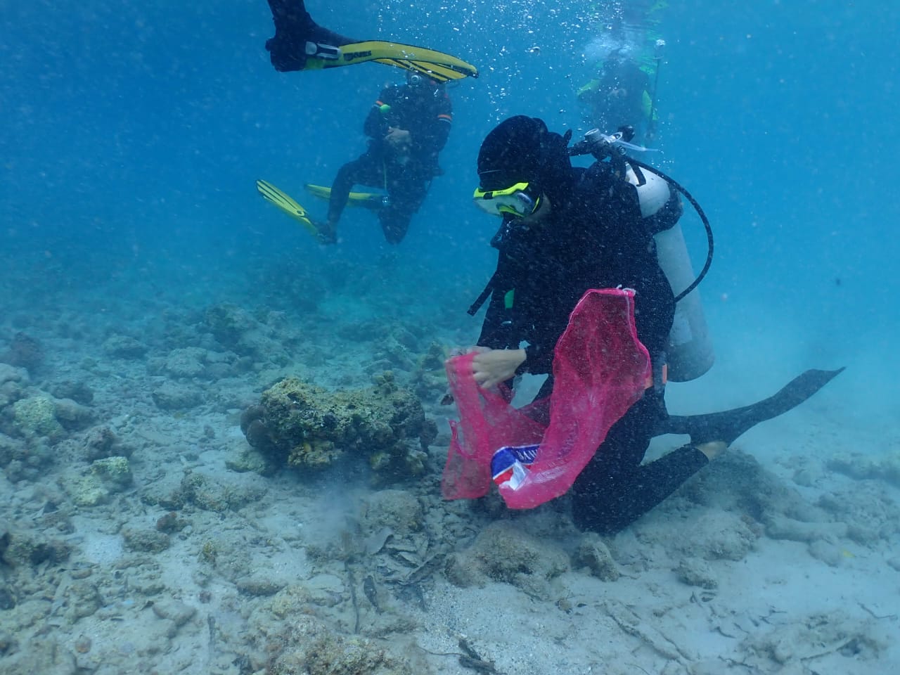 WhatsApp Image 2024 10 07 at 13.42.28 9e8641ce